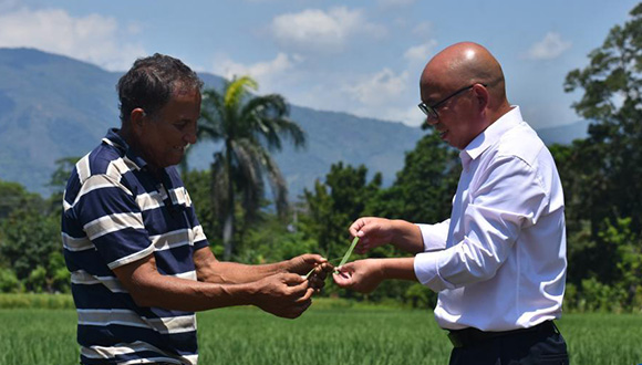 中多水稻合作助力多米尼加农业发展多米尼加首都圣多明各西北约80公里，坐落着该国国家水稻培训中心。去年10月以来，3名中国农业专家先后来到这里，在占地20亩的田地里开展水稻种植试验。详情>