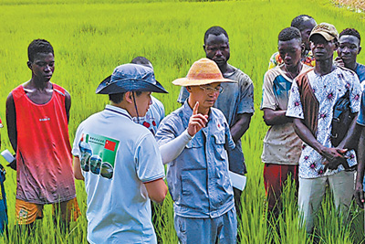 中国农业专家为科特迪瓦农民进行水稻病虫防治的培训。郭长友 摄