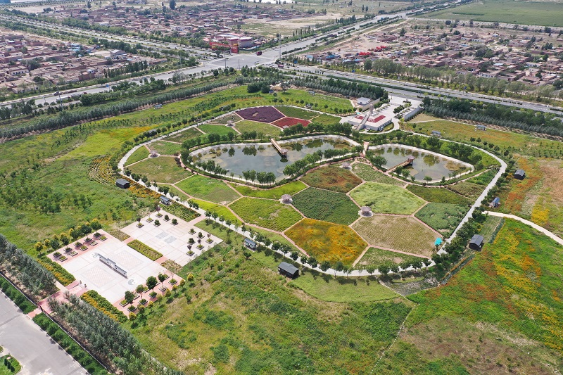 图为佛慈集团中草药基地。资料照片