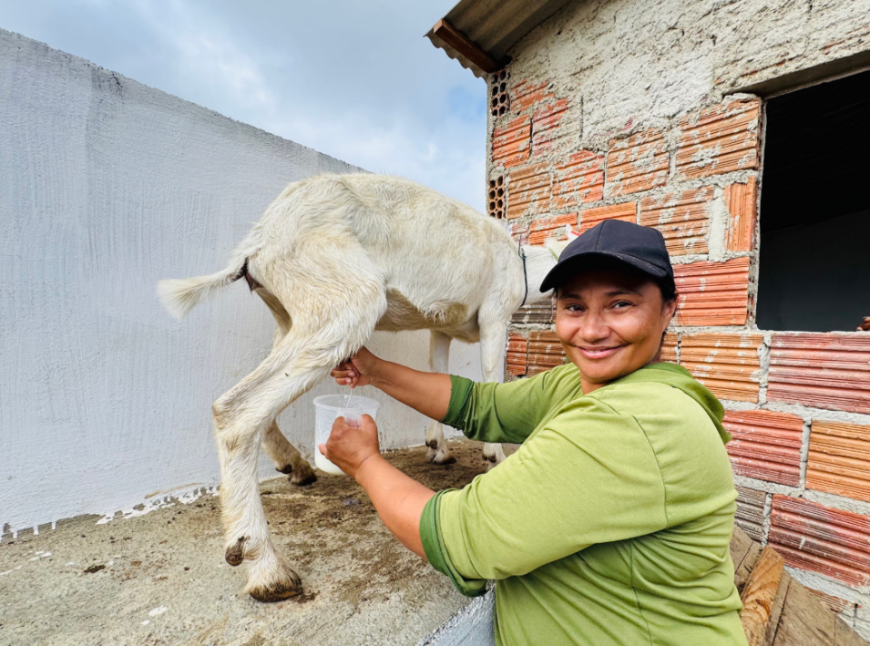 新帕尔梅拉市附近一个社区的负责人迪雅娜·巴尔博萨,是羊奶经济的首批受益者之一。三峡巴西公司供图