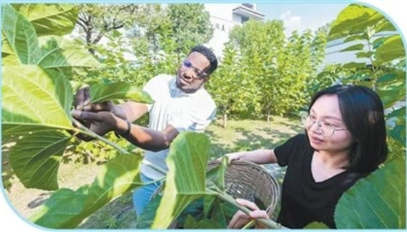 “让更多人看见中国的生态之美”“绿水青山就是金山银山”理念不仅引领着中国绿色创新的生动实践，也为全球可持续发展带来新的启示。从江南古老的桑基鱼塘，到候鸟翔集的上海临港，再到钢城焕绿的重庆江岸，越来越多的外国友人看见，生态之美正绘出一幅幅人与自然和谐共生的动人画卷。详情>