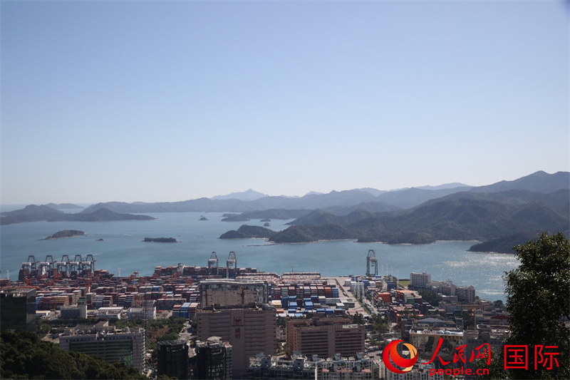 从梧桐山“森林会客厅”远眺盐田港的日景。作者供图